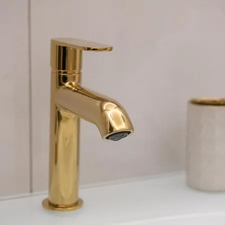 Fashion Gold With Jacuzzi & Car Garage *